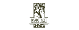 Alchemy Consulting The Bradstreet Crafthouse
